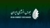 رونق عرضه حامل‌های انرژی در آخرین شنبه آذر
